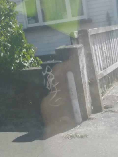 Graffiti, a report photo
