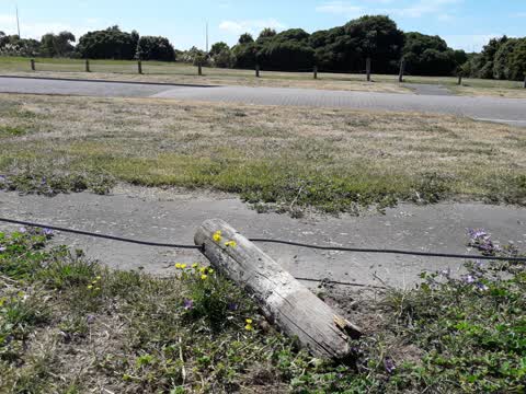 Parks, a report photo