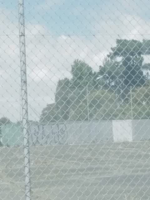 Graffiti — a report photo