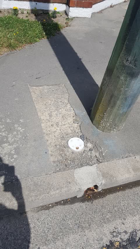 Roading/Streets, a report photo