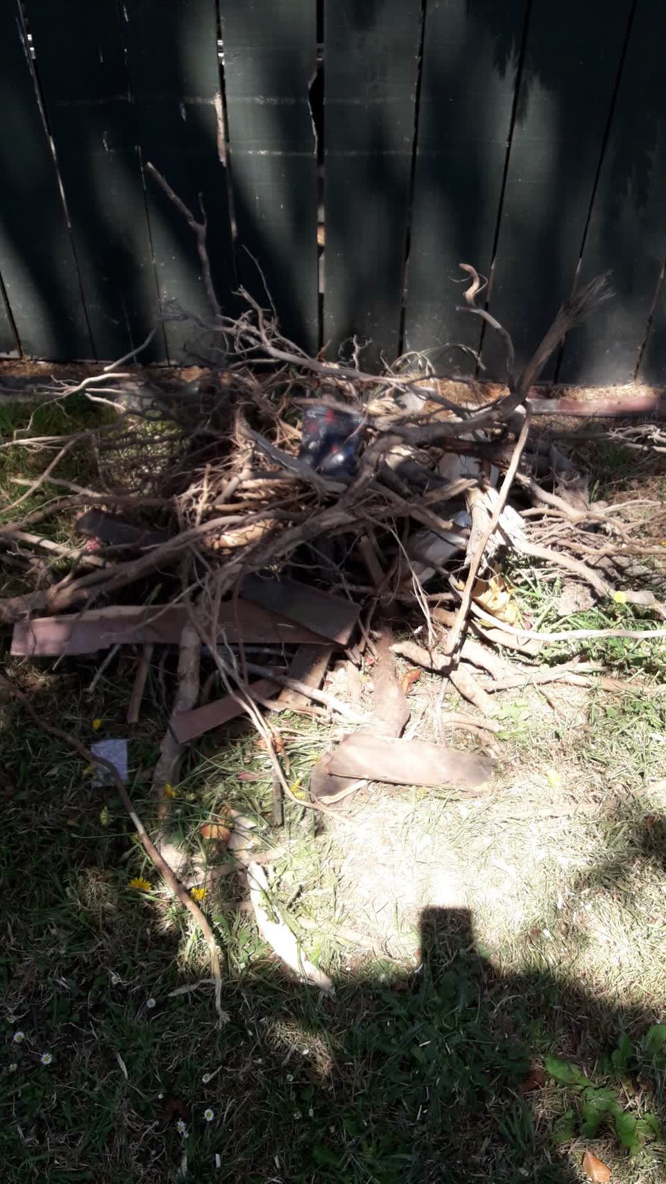 The photograph attached to this parks report