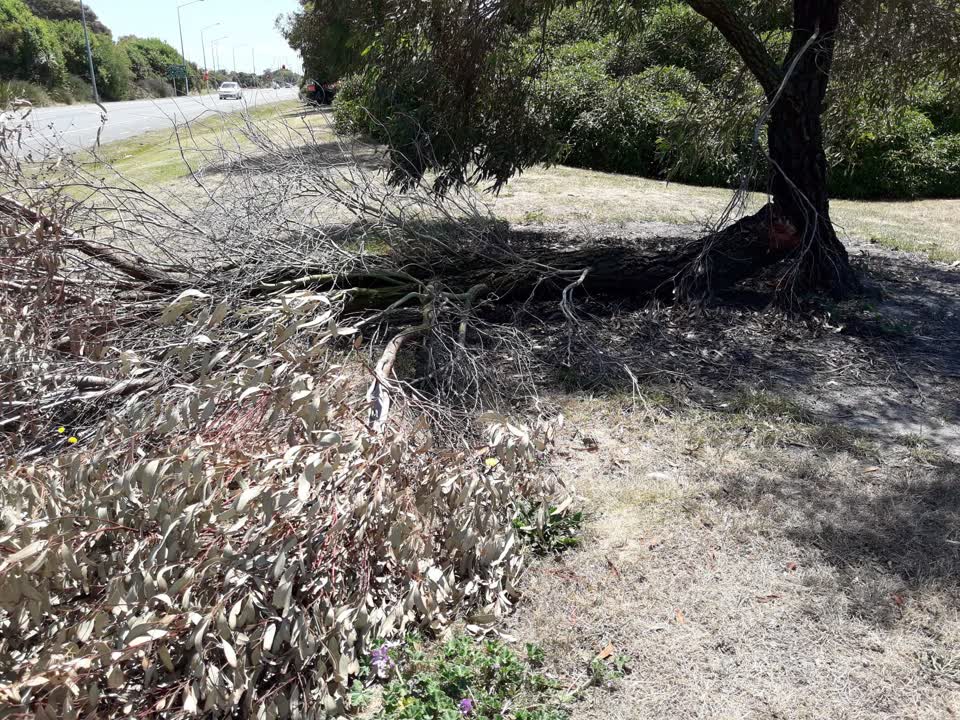 The photograph attached to this parks report