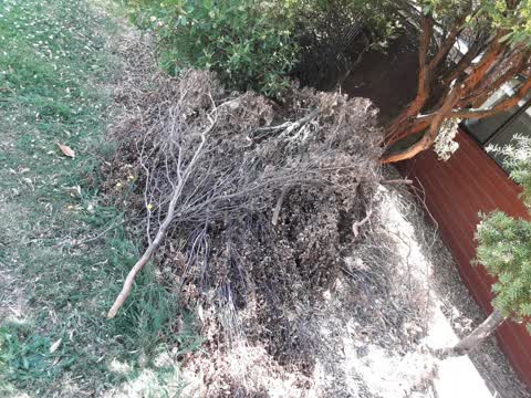 Rubbish/Recycling, a report photo
