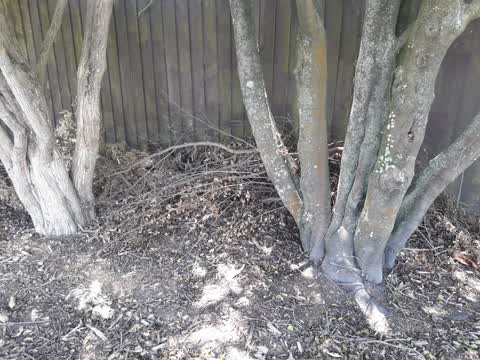 Rubbish/Recycling, a report photo
