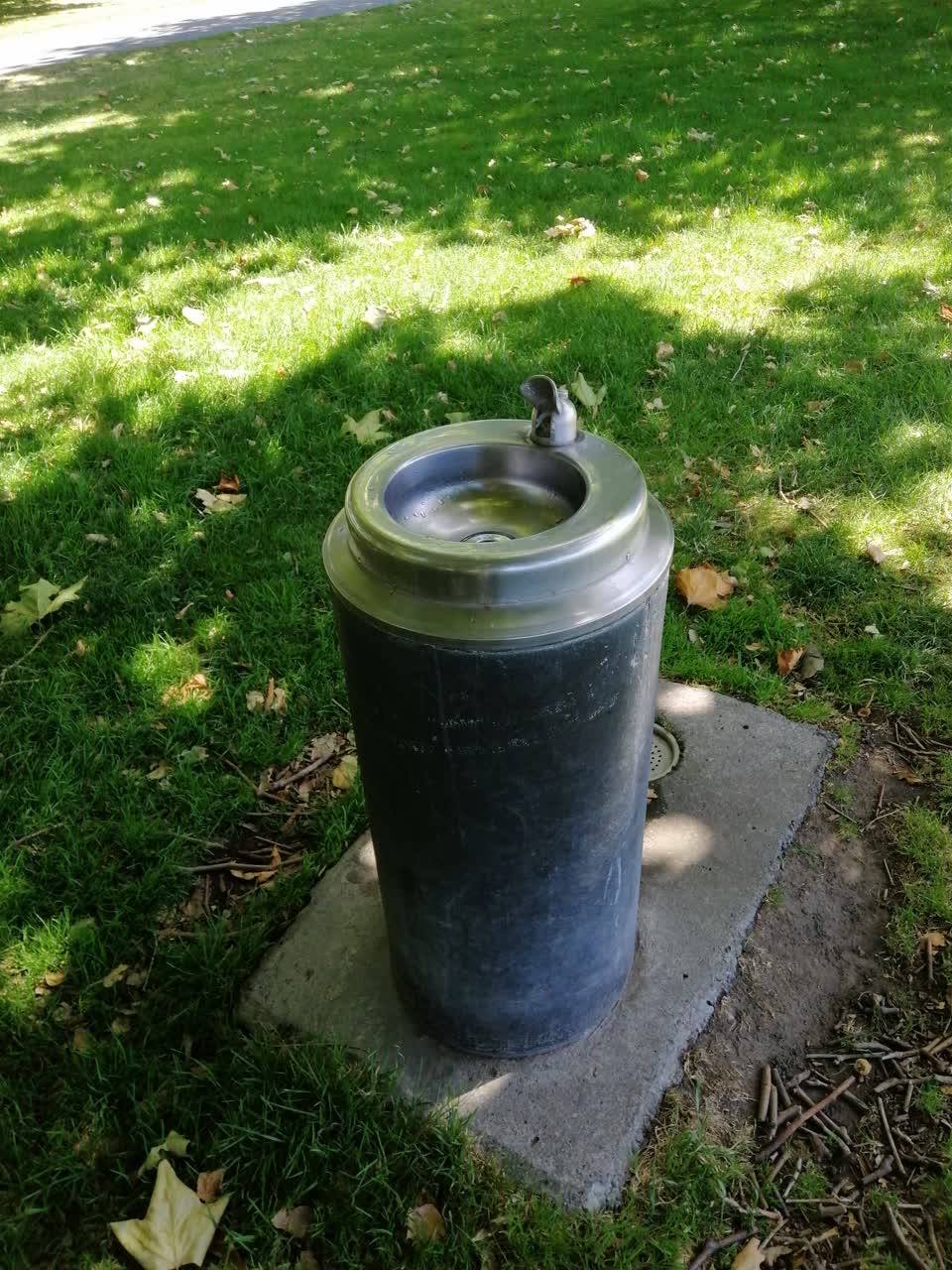 The photograph attached to this parks report