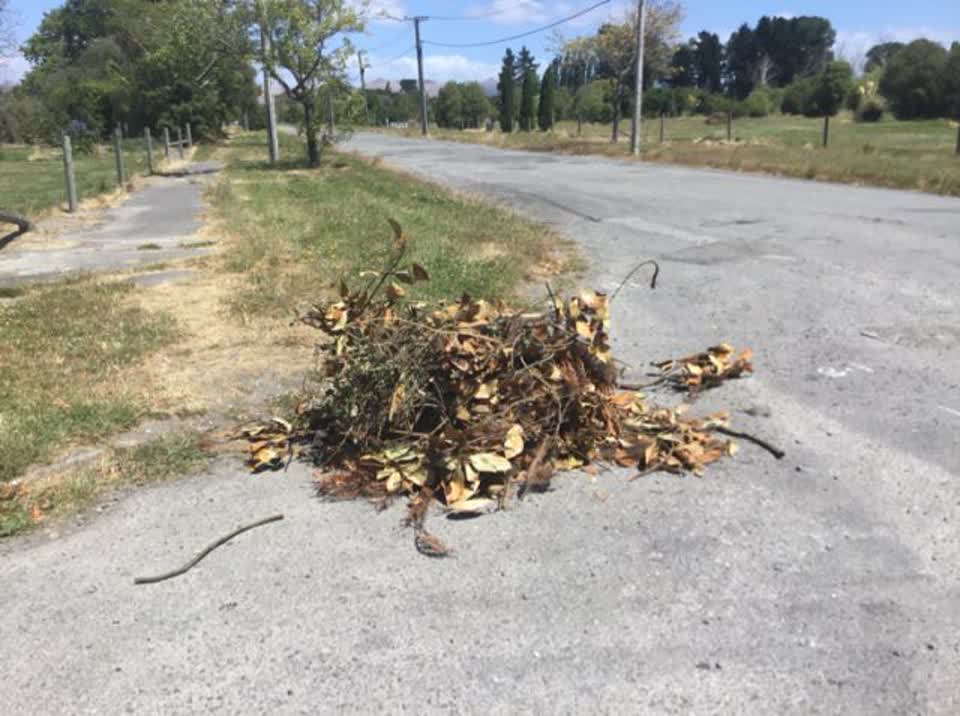 The photograph attached to this rubbish/recycling report