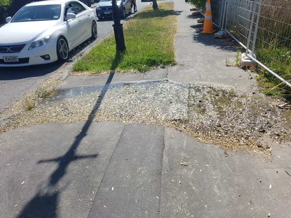 The photograph attached to this water supply report