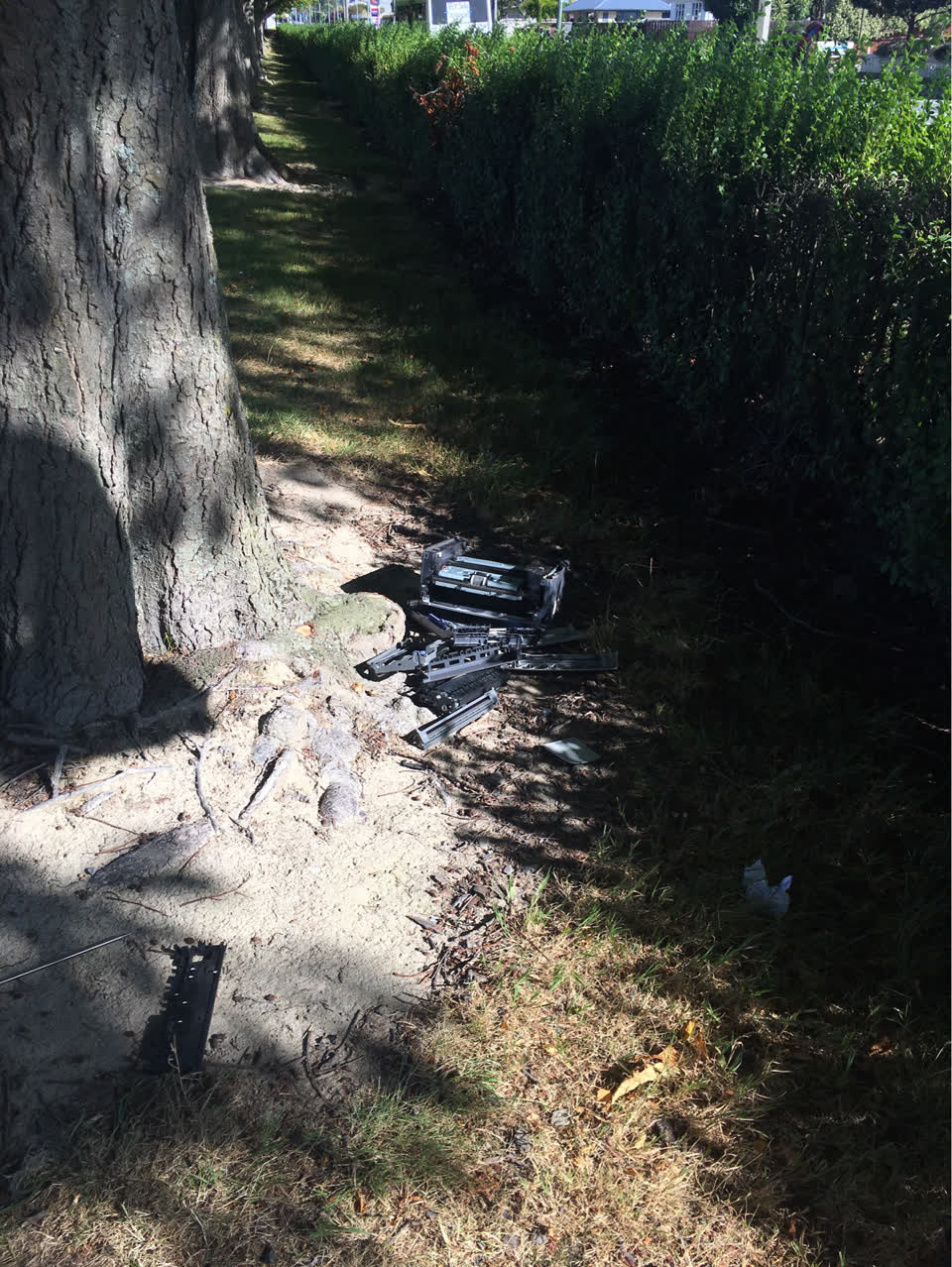 The photograph attached to this parks report