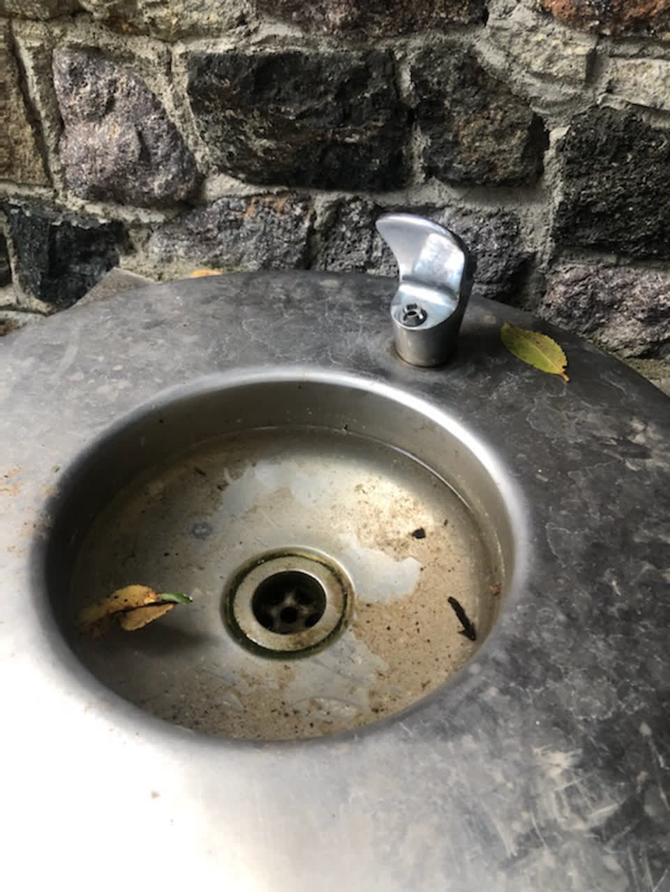 The photograph attached to this parks report