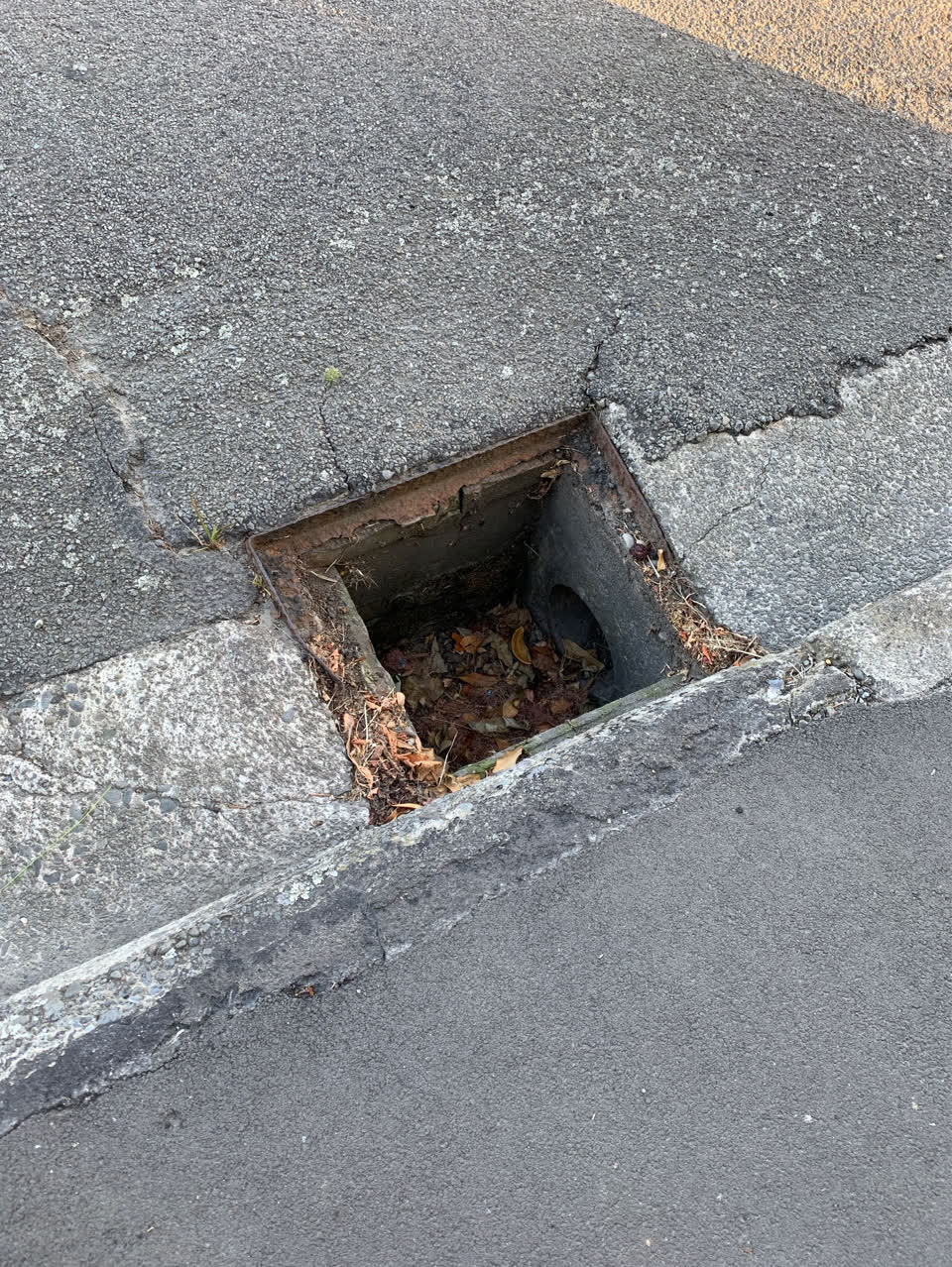 The photograph attached to this roading/streets report