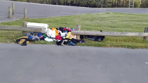 Rubbish/Recycling, a report photo