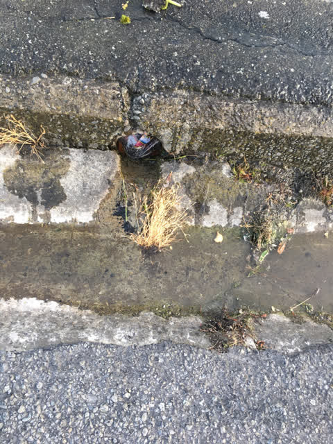 Wastewater/Stormwater, a report photo