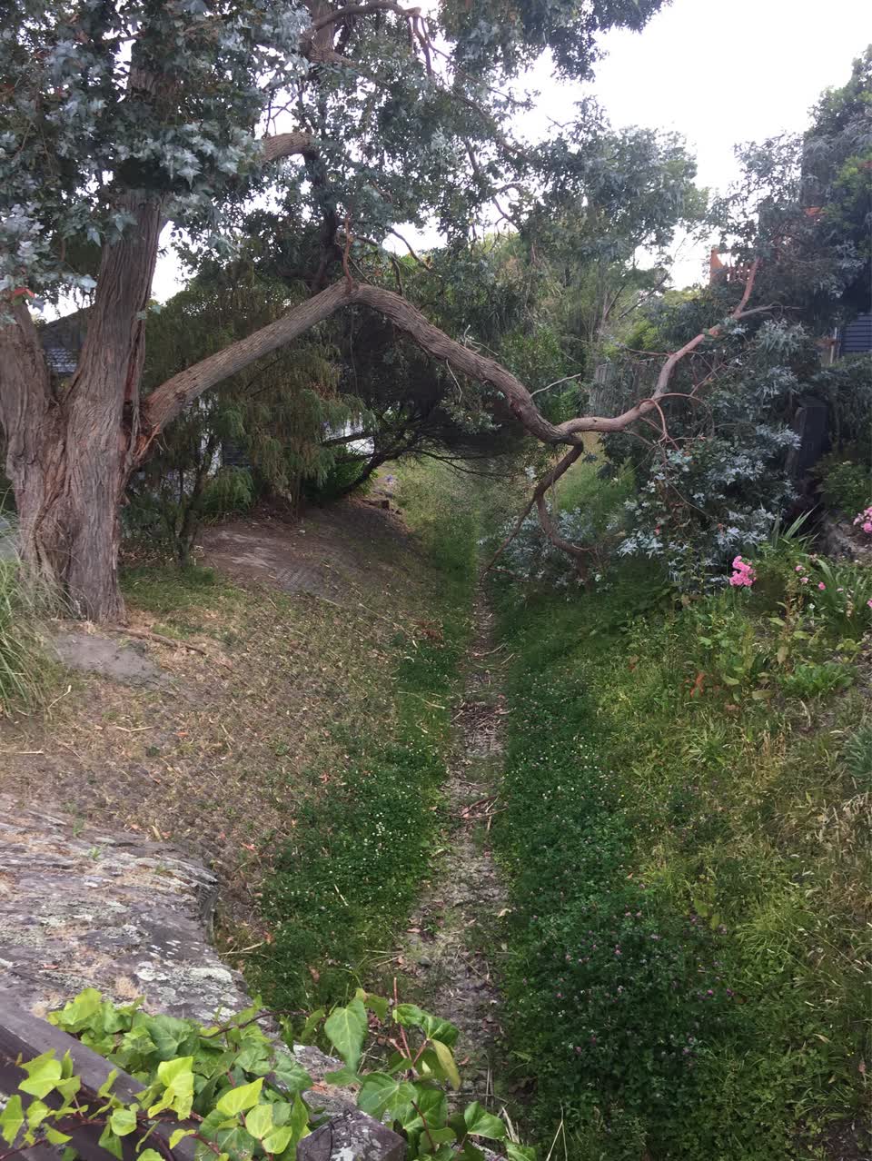 The photograph attached to this parks report
