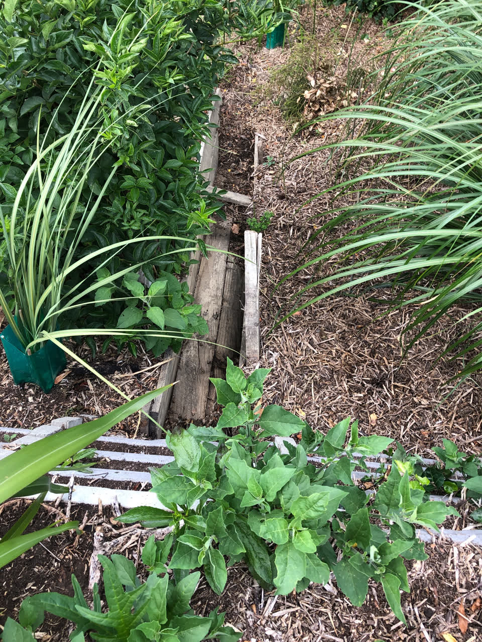 The photograph attached to this wastewater/stormwater report