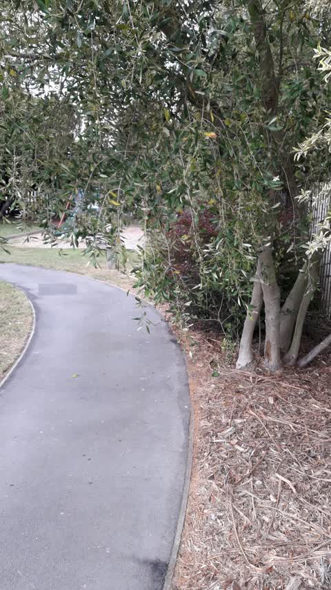Parks, a report photo