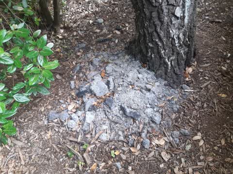 Parks, a report photo