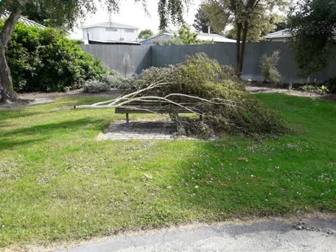 Parks, a report photo