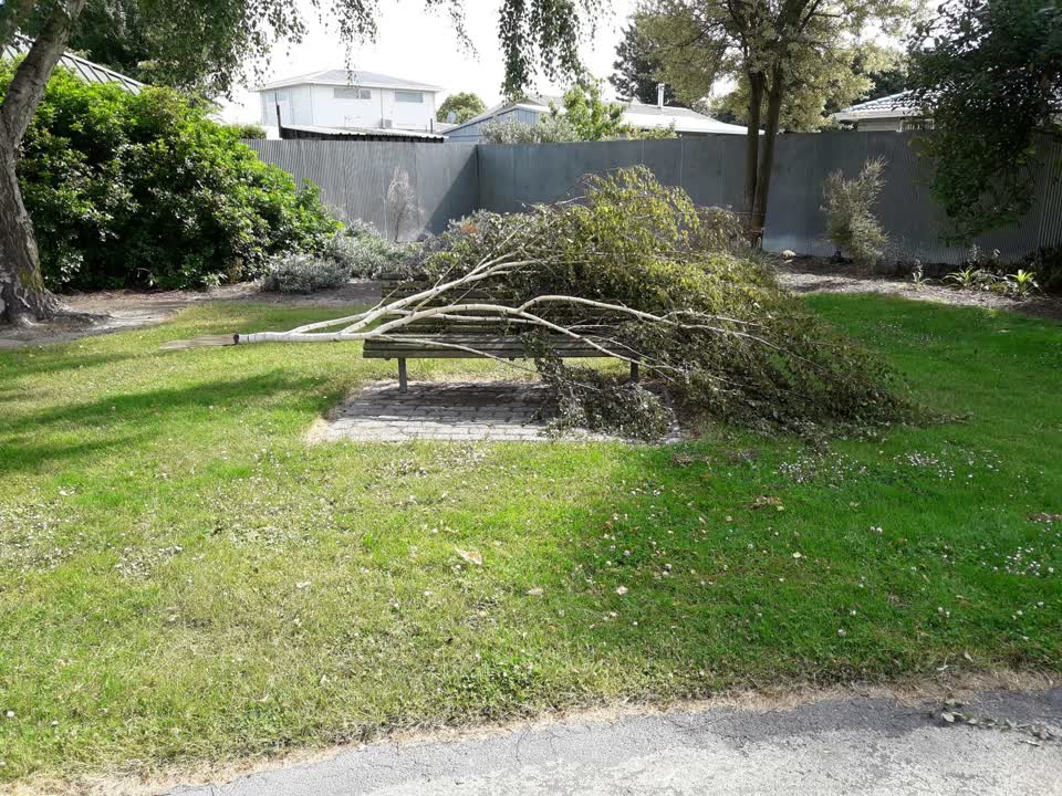 The photograph attached to this parks report