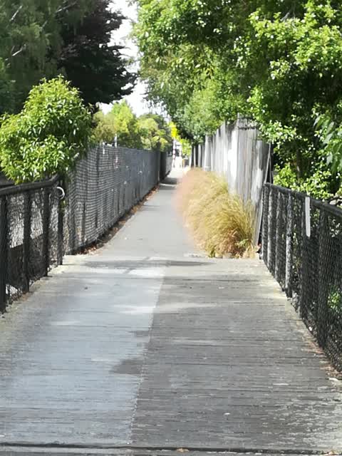 Roading/Streets — a report photo