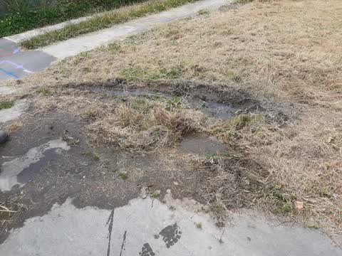 Water Supply, a report photo