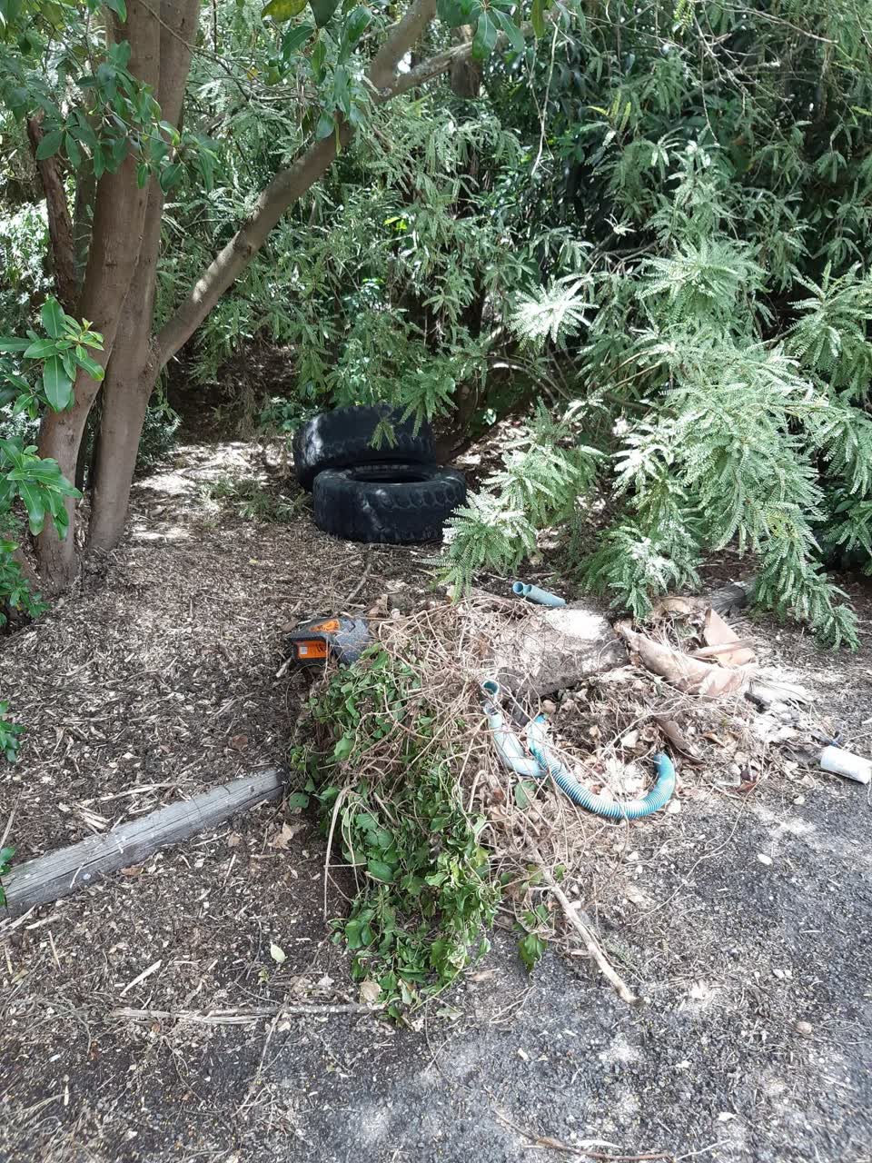 The photograph attached to this parks report