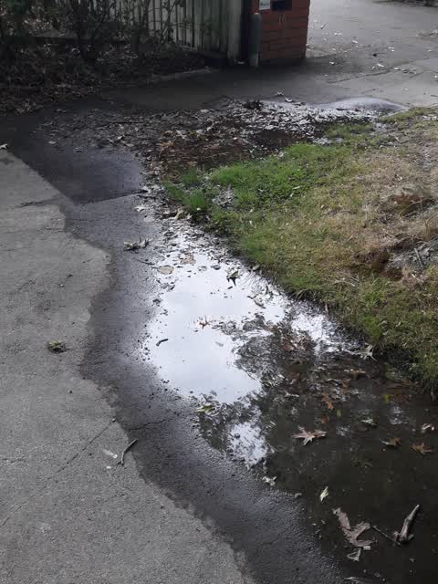 Water Supply, a report photo
