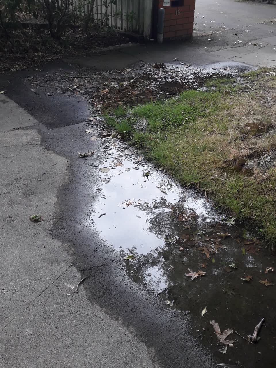 The photograph attached to this water supply report