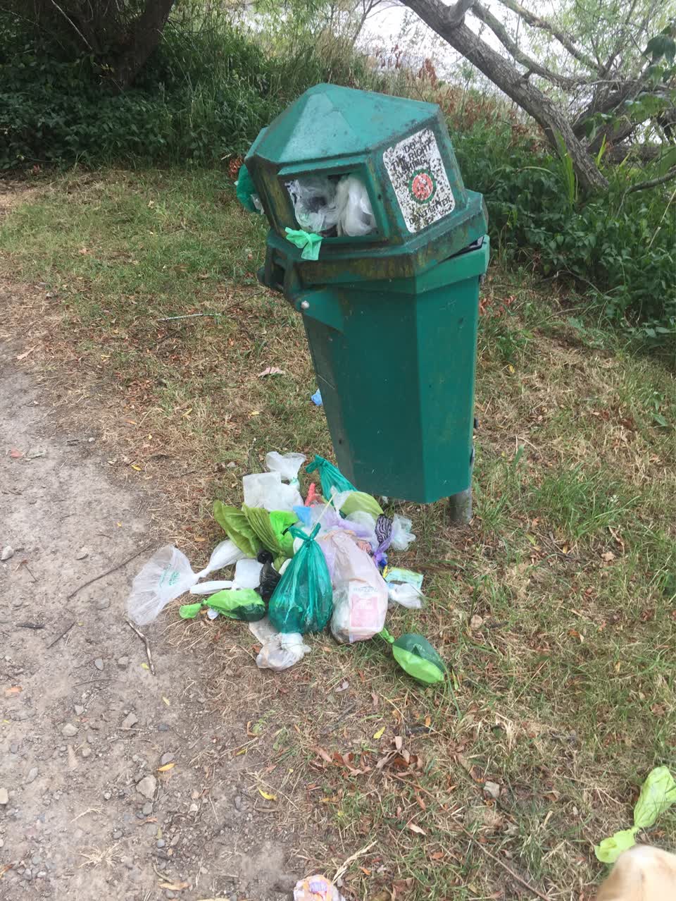 The photograph attached to this rubbish/recycling report