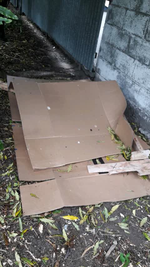 Parks, a report photo