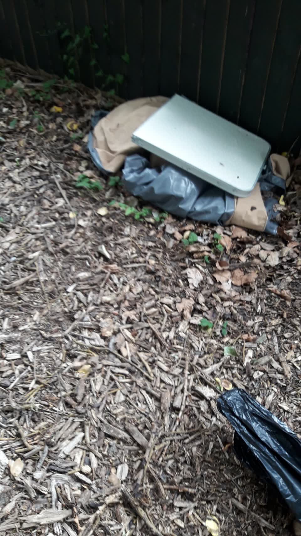 The photograph attached to this parks report