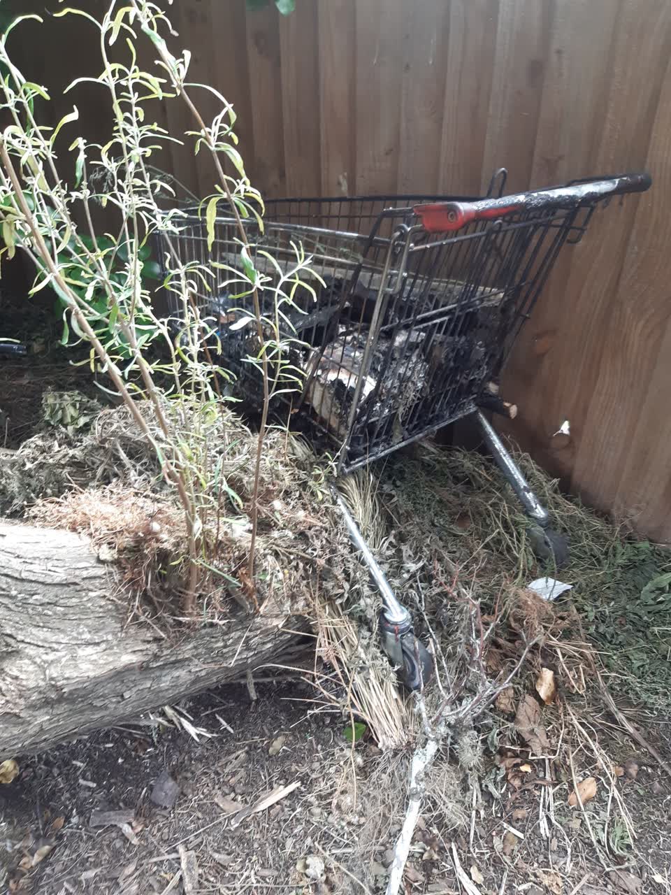The photograph attached to this parks report