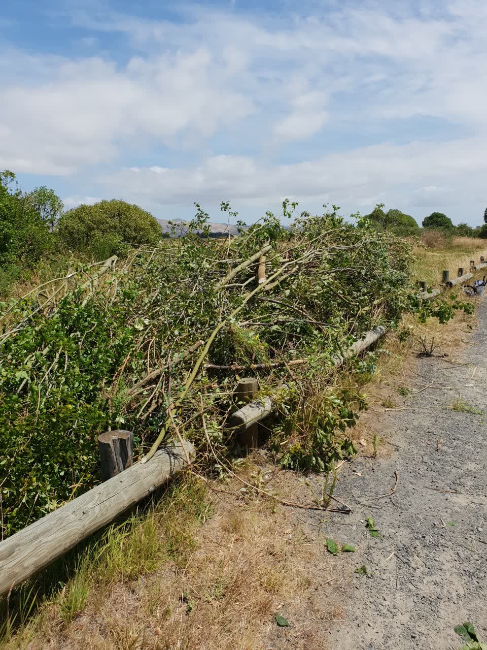 The photograph attached to this parks report