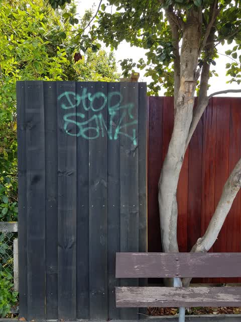 Graffiti, a report photo
