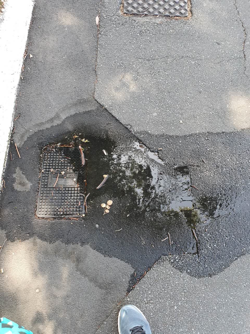 The photograph attached to this flooding report