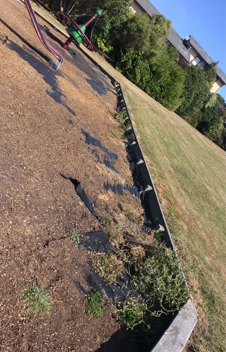 The photograph attached to this parks report