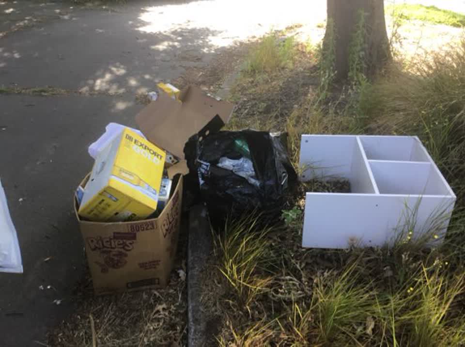 The photograph attached to this rubbish/recycling report
