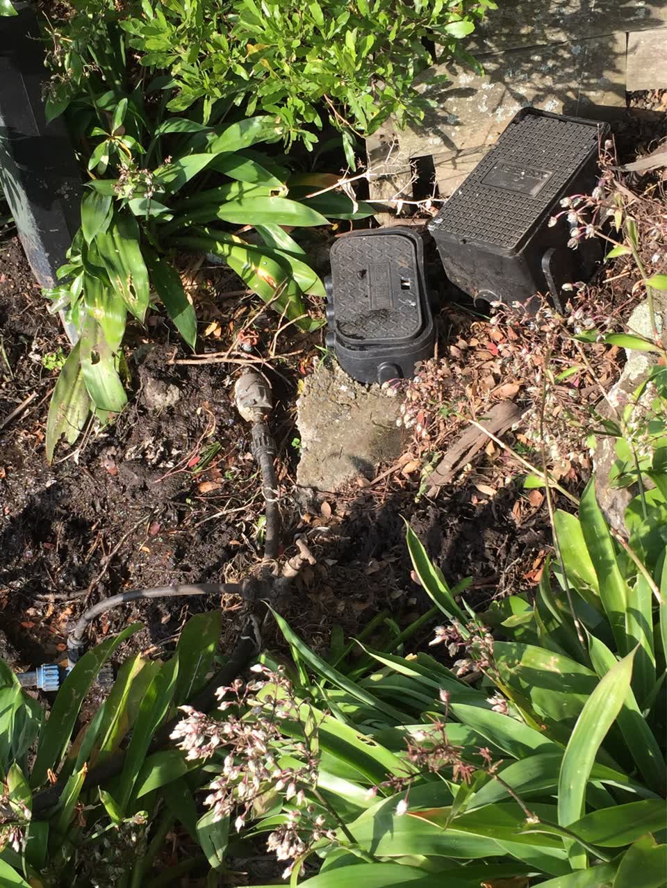 The photograph attached to this water supply report