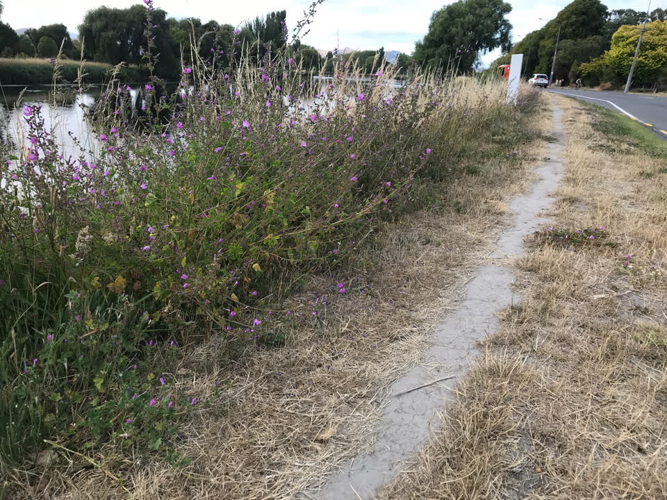 The photograph attached to this parks report