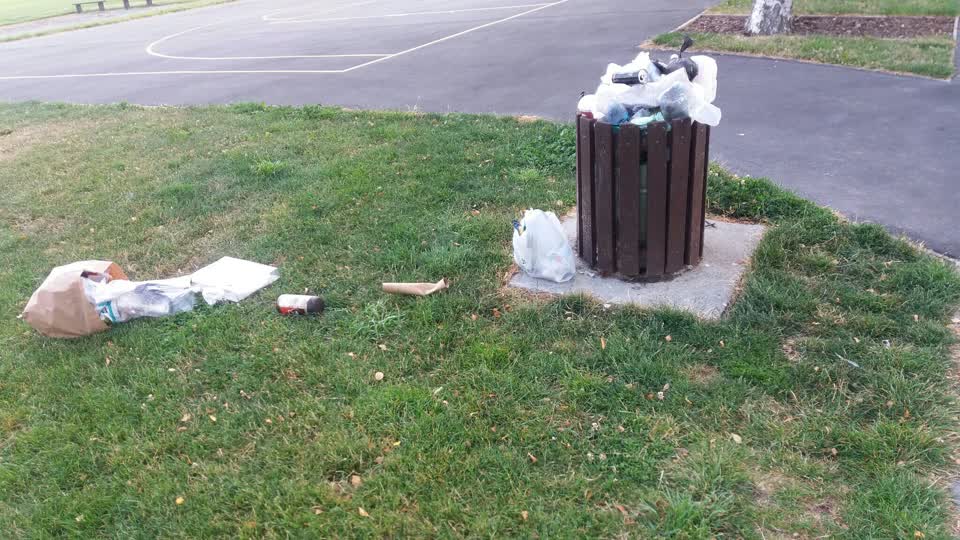 The photograph attached to this rubbish/recycling report