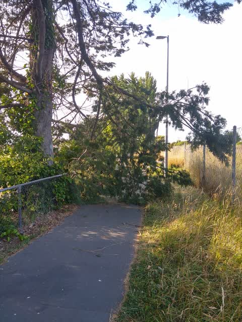 Parks, a report photo