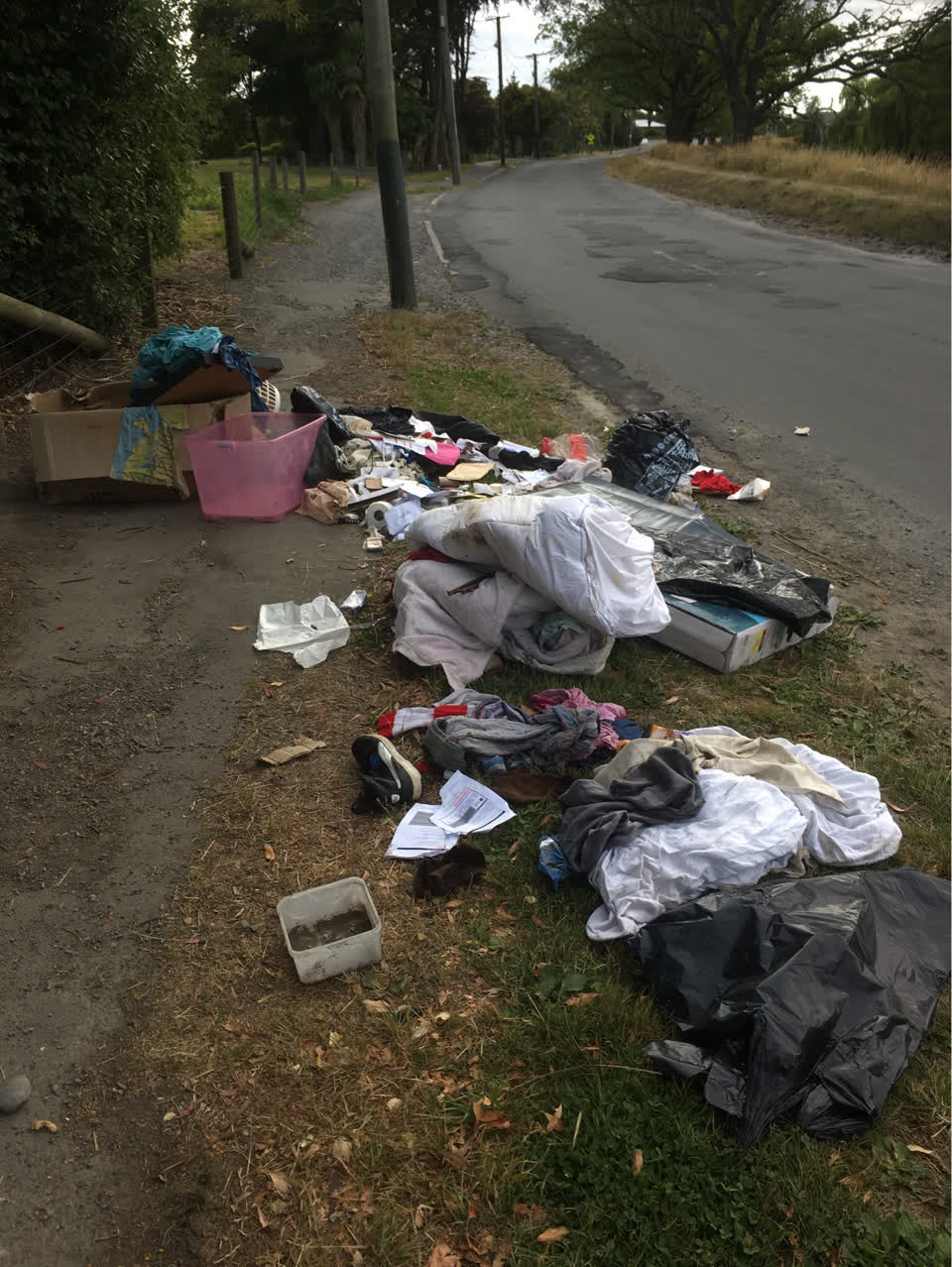 The photograph attached to this rubbish/recycling report