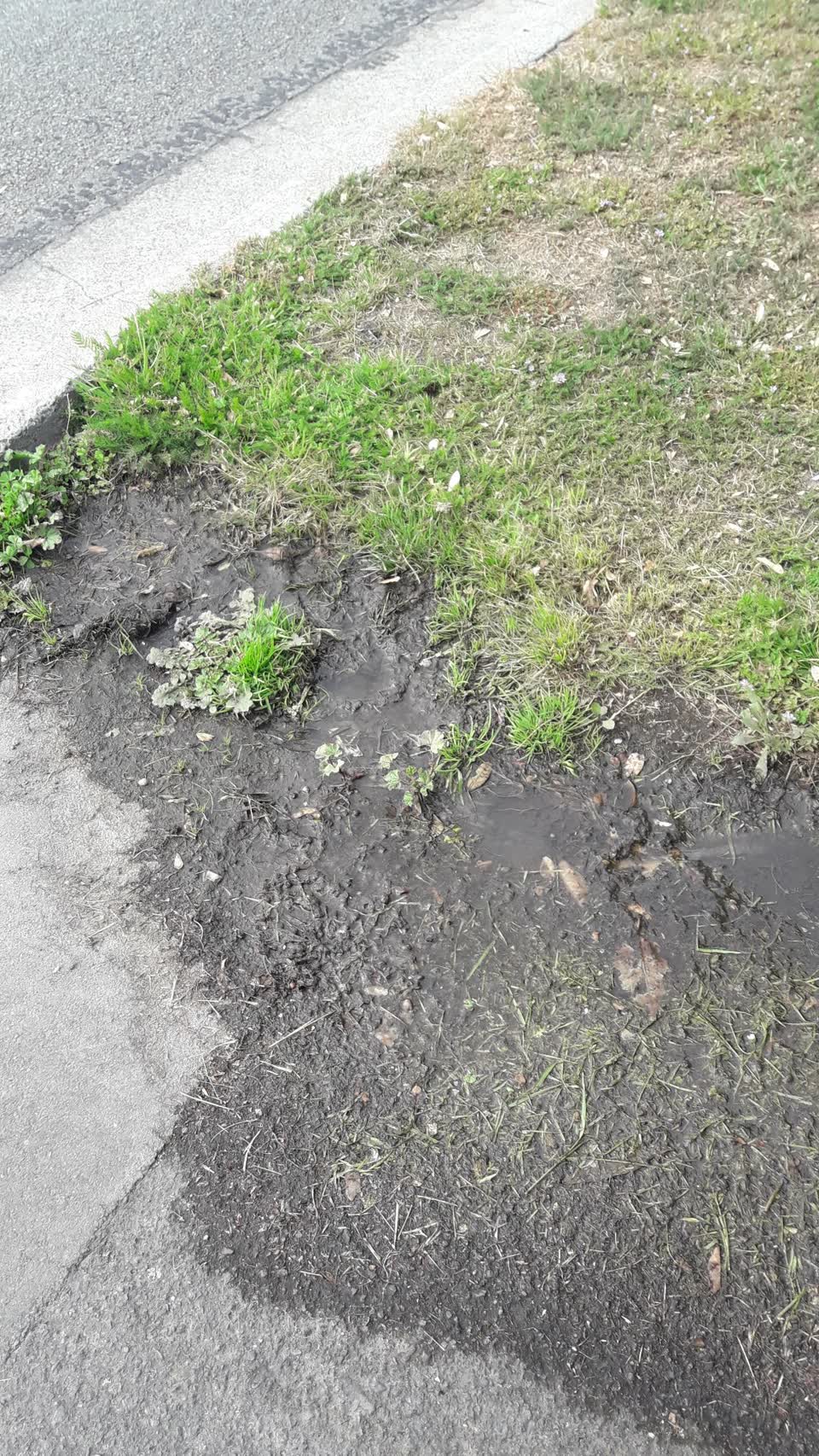 The photograph attached to this wastewater/stormwater report
