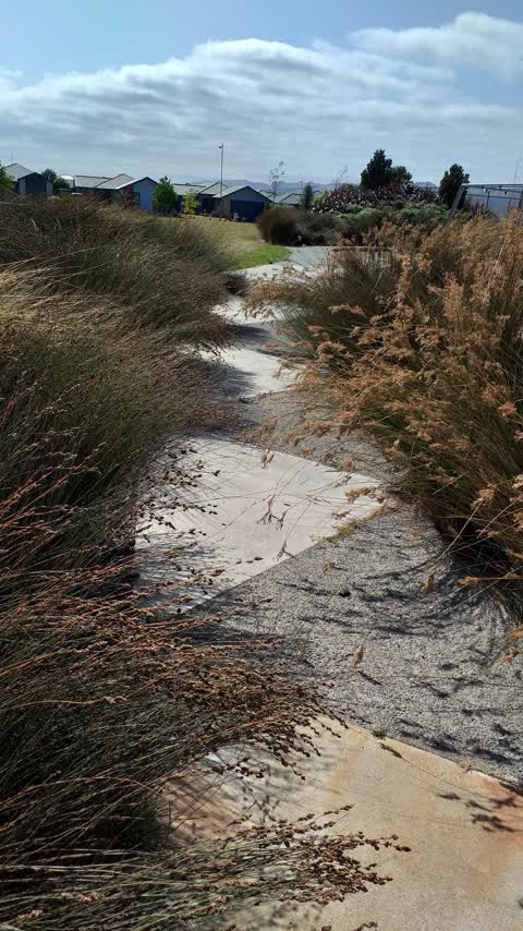Parks, a report photo