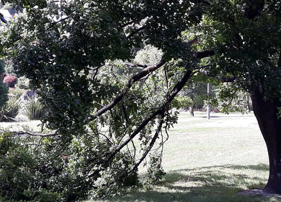 The photograph attached to this parks report