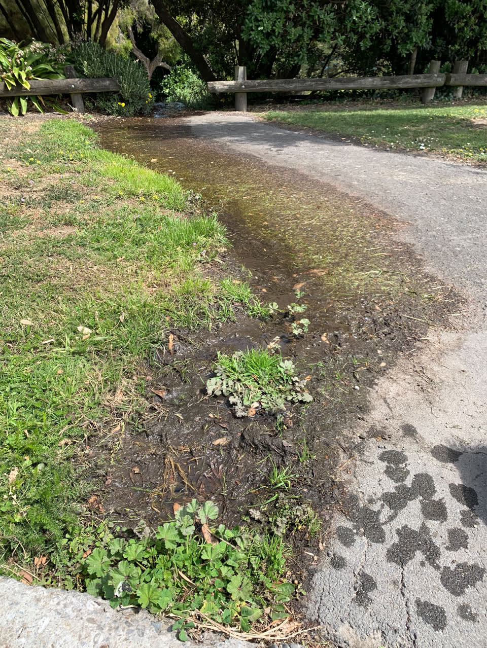 The photograph attached to this water supply report