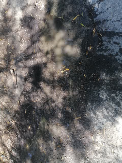 Flooding, a report photo