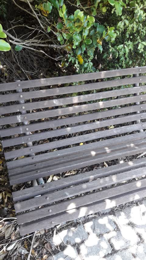 Parks, a report photo