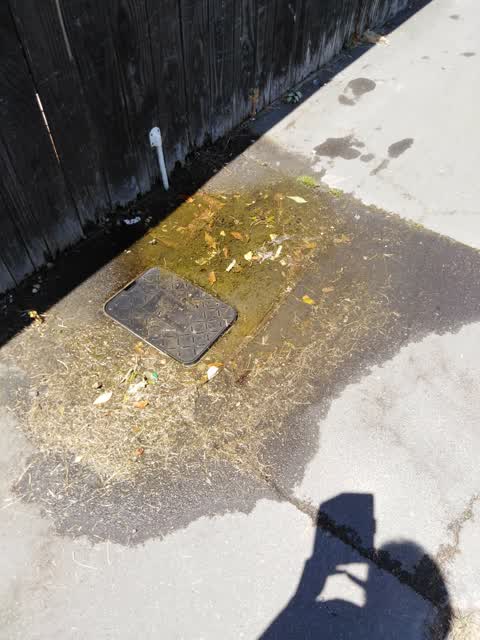 Water Supply, a report photo