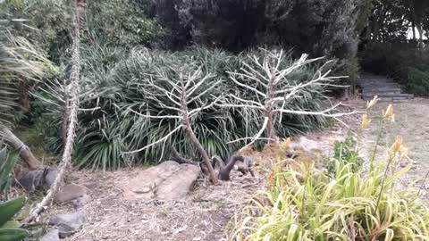 Parks, a report photo