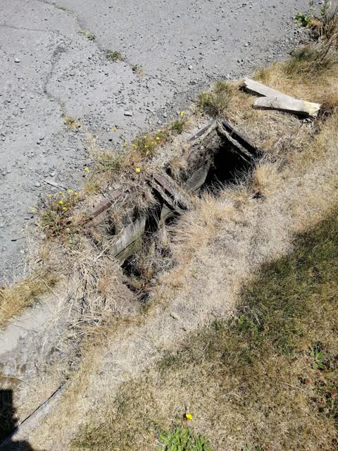Roading/Streets, a report photo